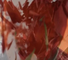 anti dowry movement in pakistan by Mudawa NGO