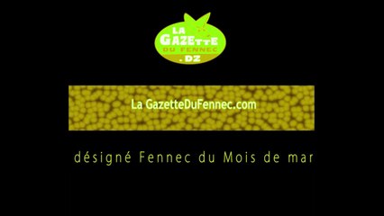 Qui sera désigné Fennec du Mois de mars 2014 ?