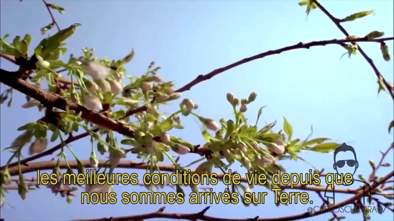 Vous êtes la planète Terre !