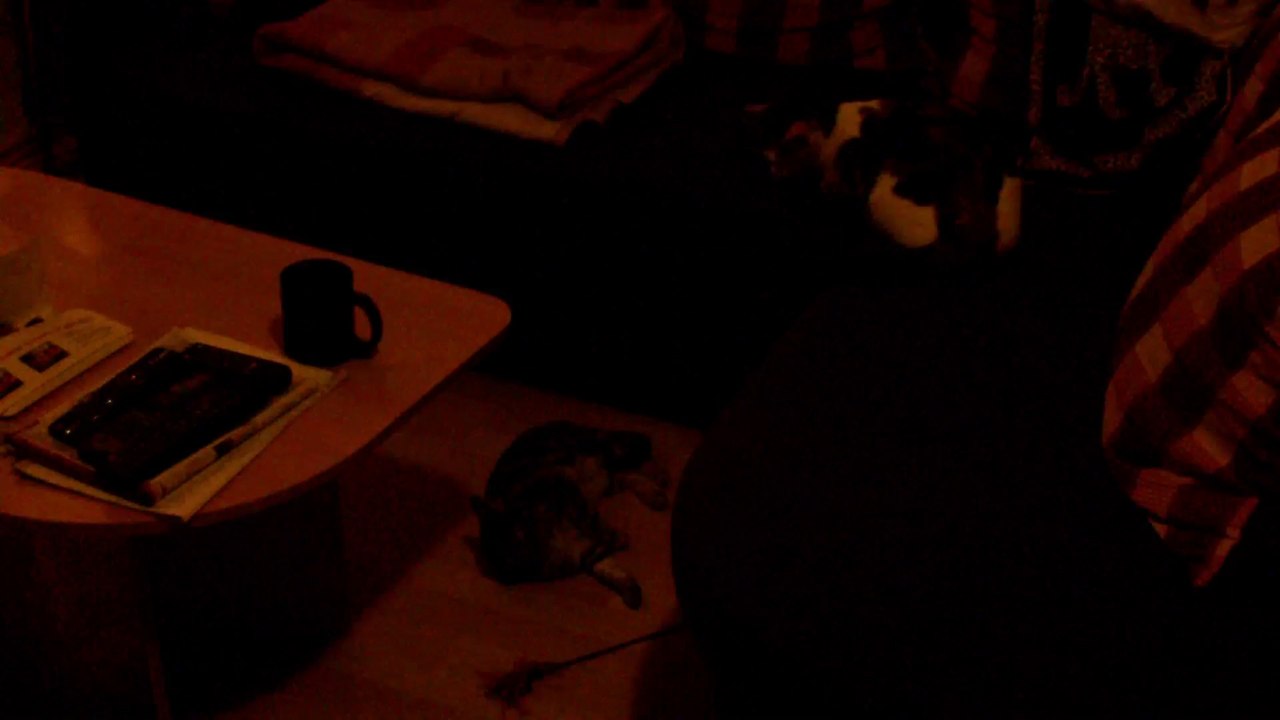 Chili und Curry Zusammenführung Tag 1 -4