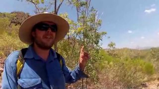 Tourism NT - Kakadu Territory Expeditions