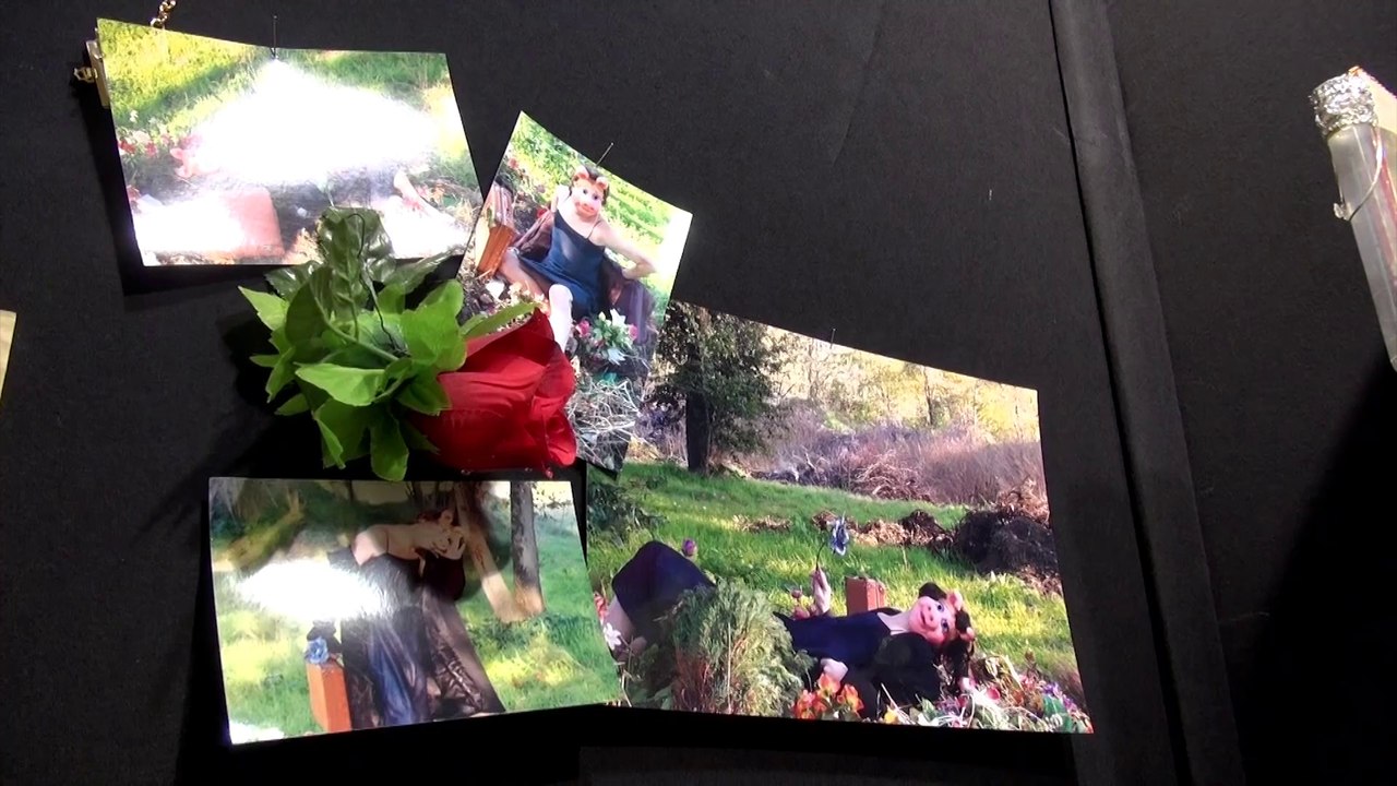 Marc Le dizet - Mac Paris 2013