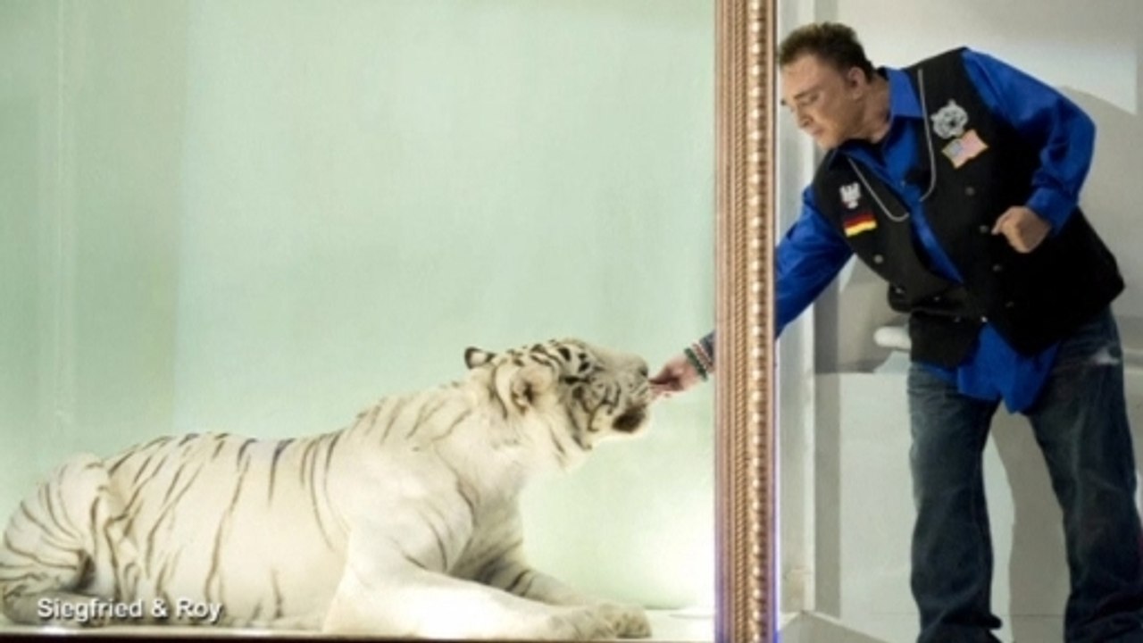 Tiger that attacked magician Roy Horn dies