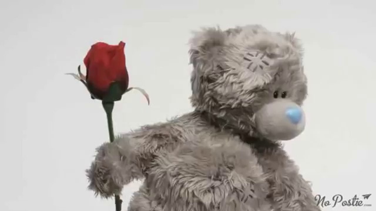 Teddy ❤ I'm Sorry!