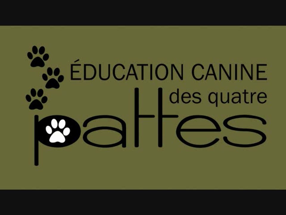 Comportement canin : Le vieillissement du chien