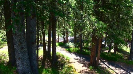 Livingstone Falls Recreation Area.