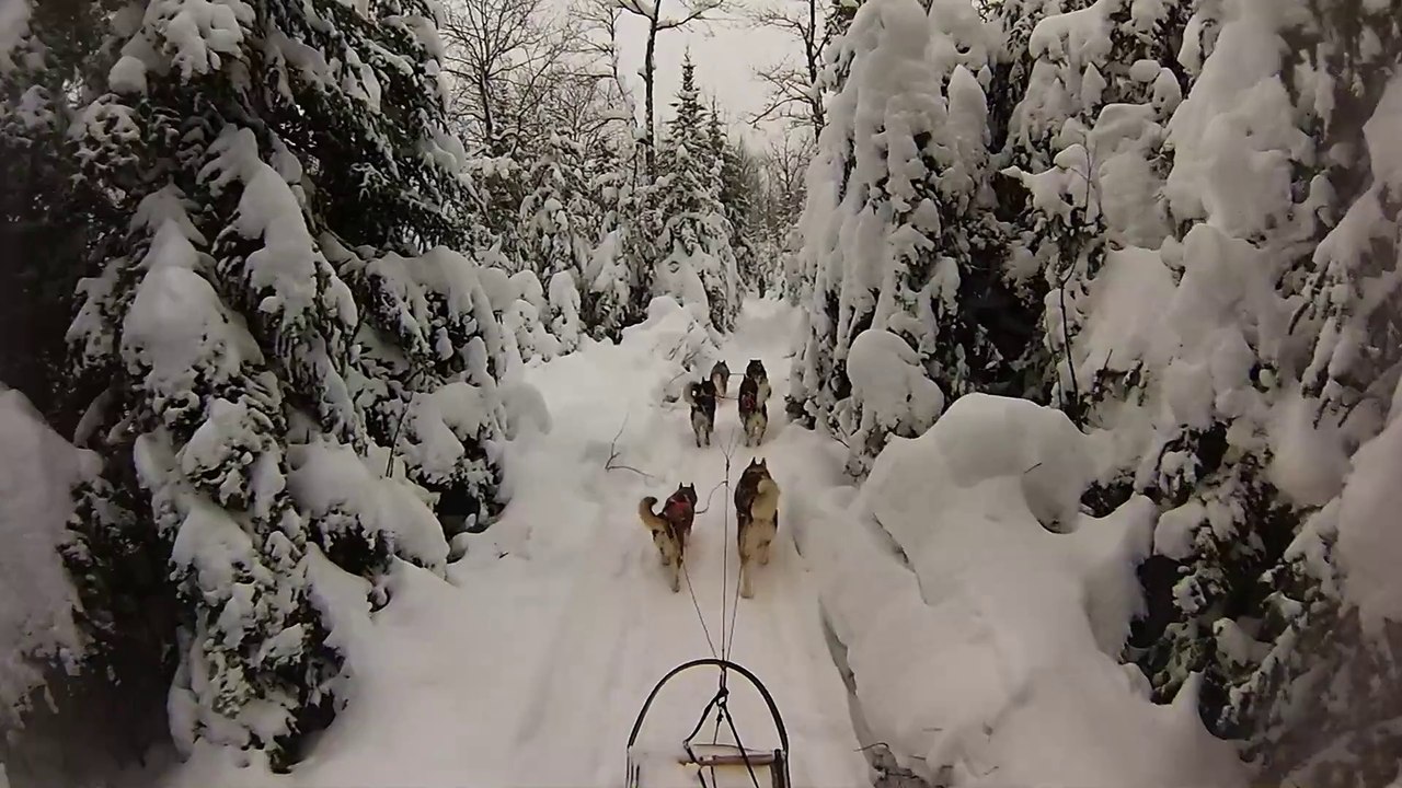 traineau_chien_20131223