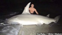 Massive 14-Foot, 700-Pound Shark Caught By Fla. Fishermen