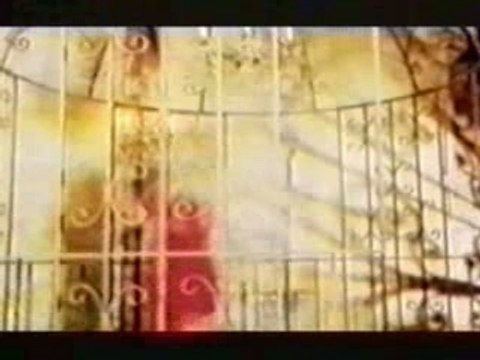 Cheb bilal roi de la chanson rai alger