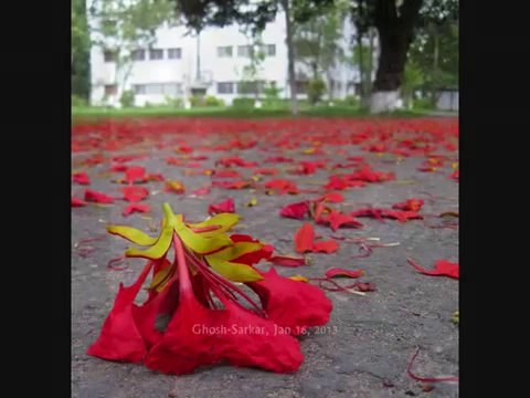 Yaad Piya Ki Aaye - Ustad Rashid Khan & Shreya Ghosal