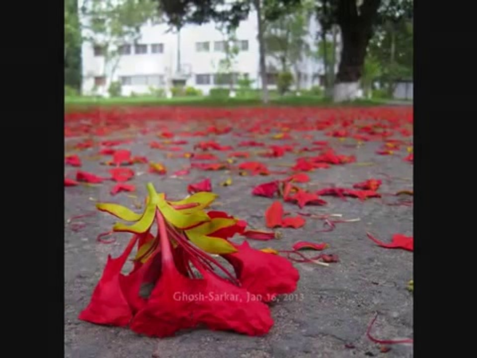 Yaad Piya Ki Aaye - Ustad Rashid Khan & Shreya Ghosal