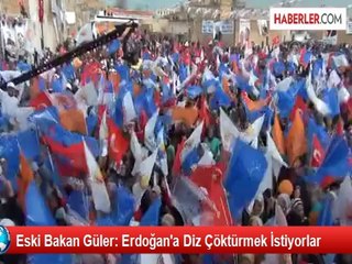 Eski Bakan Güler: Erdoğan'a Diz Çöktürmek İstiyorlar