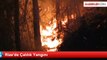 Rize'de Orman Yangını Kontrol Altına Alınamıyor