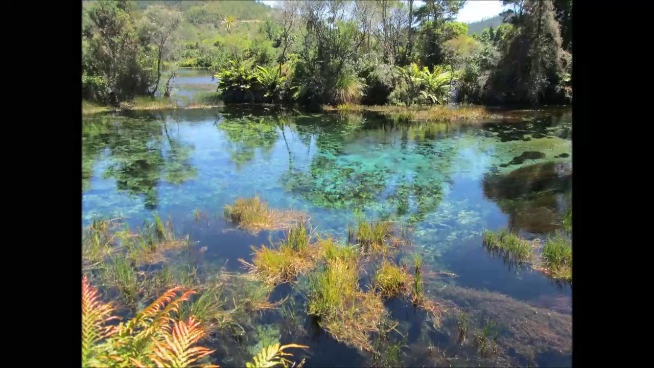 Neuseeland - Meine Highlights