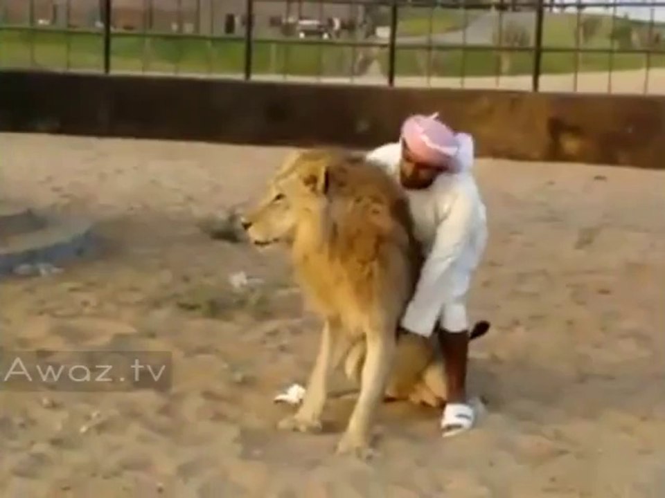 Aadmi ki SHair Par Sawari
