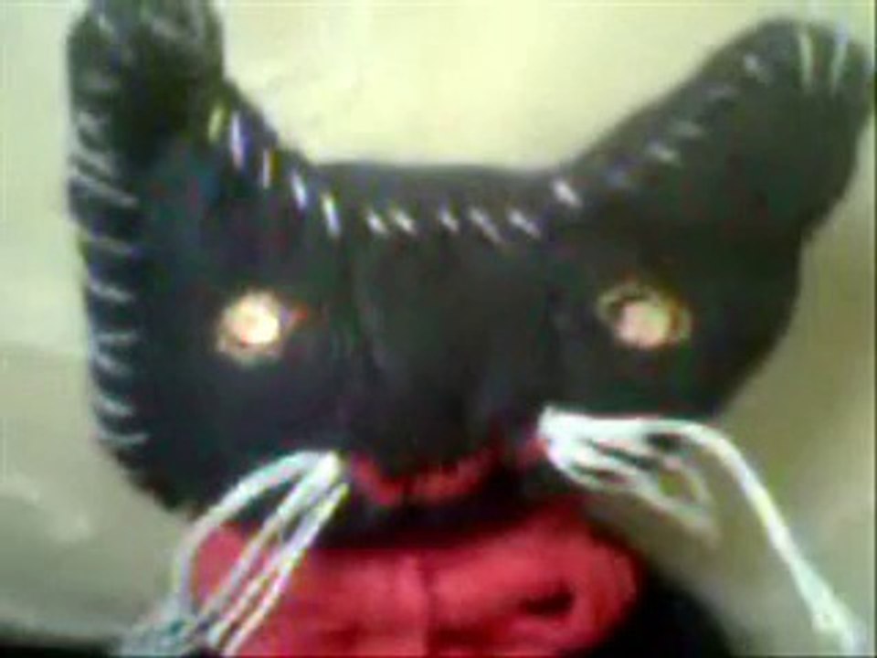 Pussy Cat
