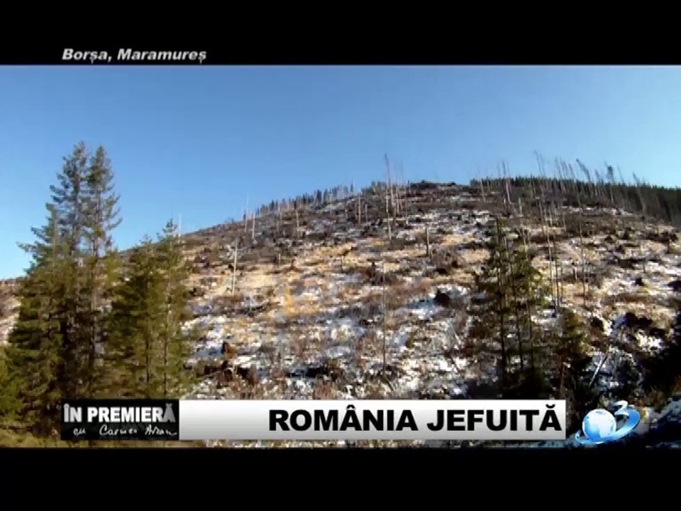 "In premiera": ROMANIA JEFUITA: PADURILE ROMANIEI SECERATE FARA MILA (Reportaj 2011)