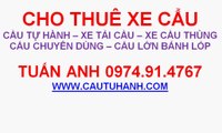 Cho thuê xe cẩu nhỏ nhẹ 0974914767