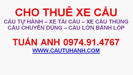 Cho thuê cẩu bánh lốp 0974914767