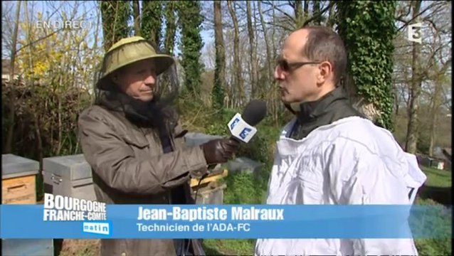 Direct Matin à Dole, l'apiculture en Franche-Comté