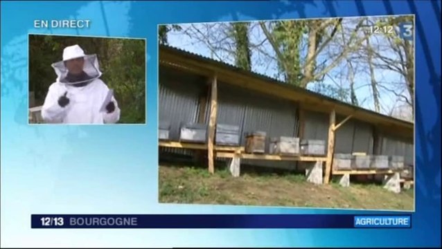 Direct 12/13 à Dole, apiculture en Franche-Comté
