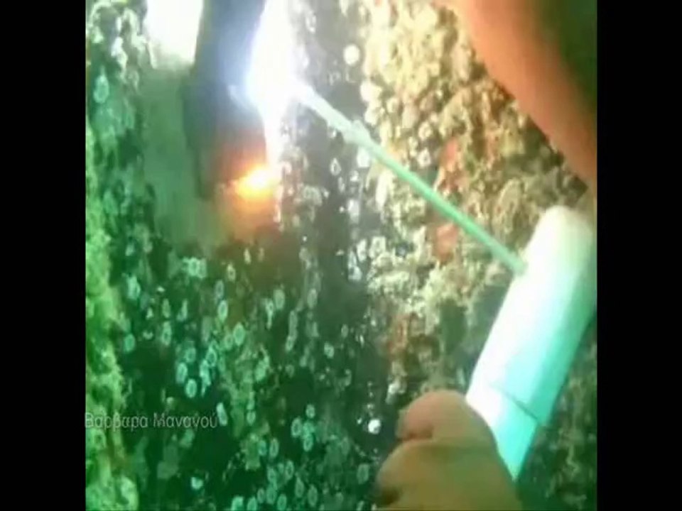 Female commercial diver Barbara Managou underwater welding underwater cutting