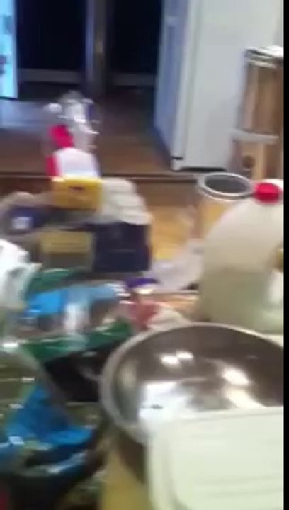 How to get rid of cockroaches in London by Environ pest con