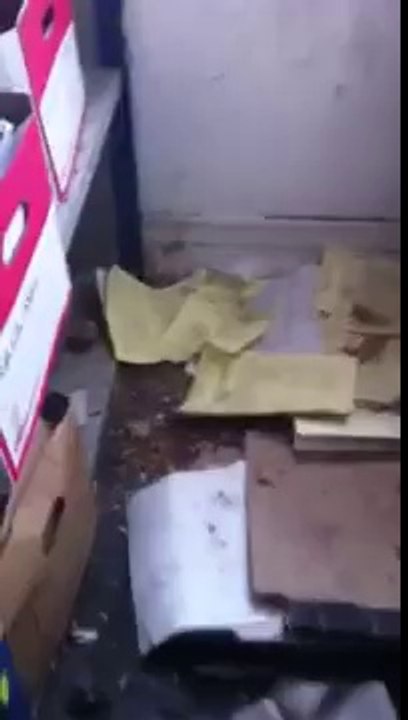 Fox destruction in London by Environ Pest Control