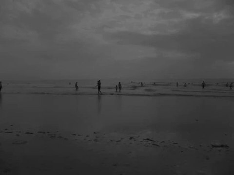 Brem sur mer Plage (85470) : Des vacances en Vendée