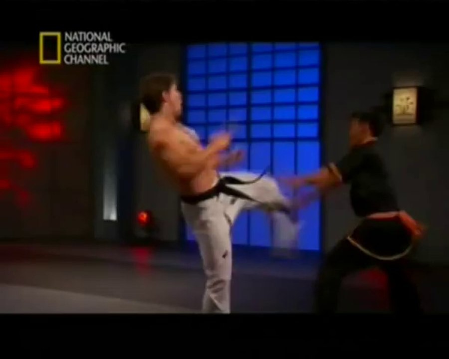 El Guerrero Definitivo