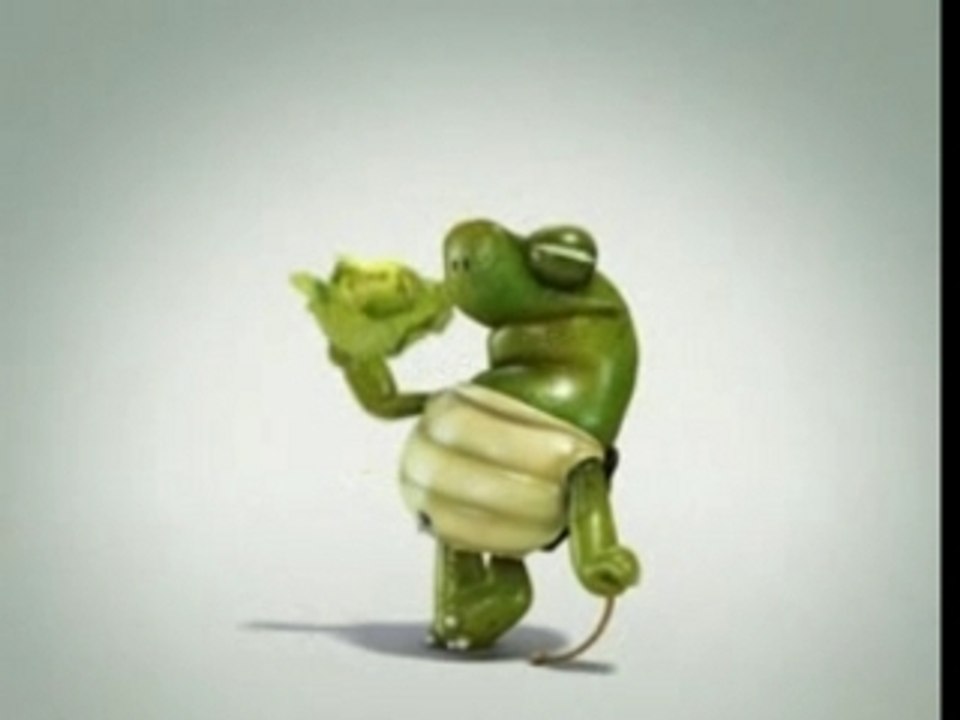 Mickael the turtle