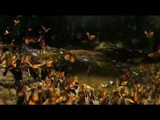 Les Grandes Migrations Bande annonce