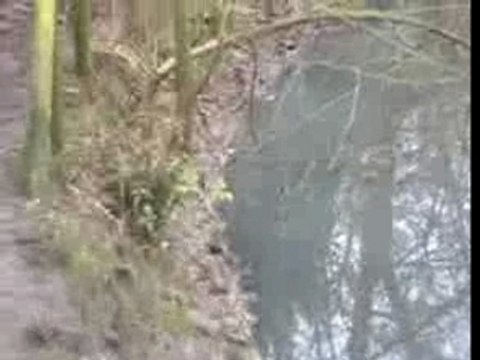 la Chastel Abbaye Cysoing