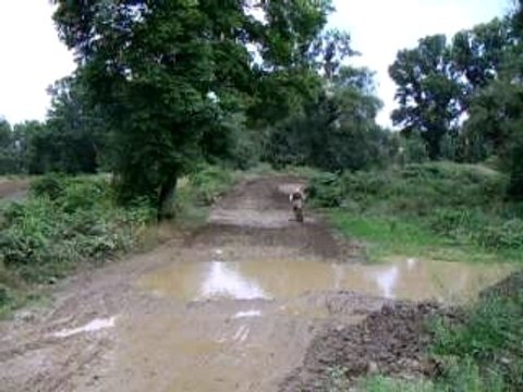 mwa virage motocross