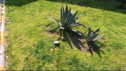 Kayıp Prenses 6. Bölüm