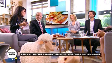 Brick au hachis parmentier et salade de poivrons