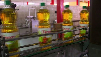 Huile de palme : la controverse inutile ?