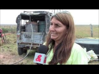 muerte de animales silvestres en casanare por sequia