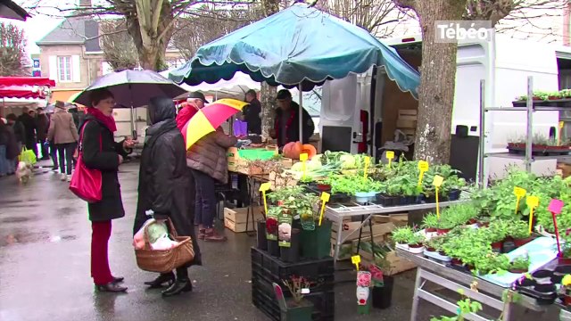 Pont-L'Abbé (29). Municipales 2014 : les candidats abattent leurs dernières cartes