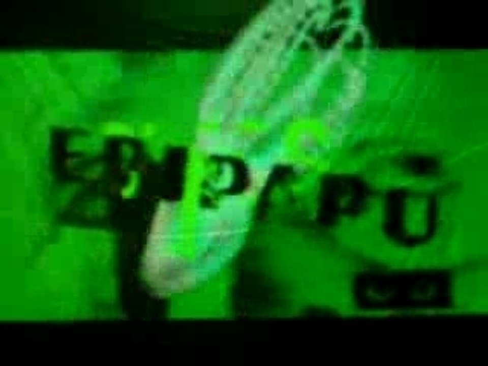 Festival Epipapu 2005
