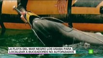 #MasValeTarde - Delfines militares de Ucrania pasa a manos rusas [LaSexta][2014][Spanish]