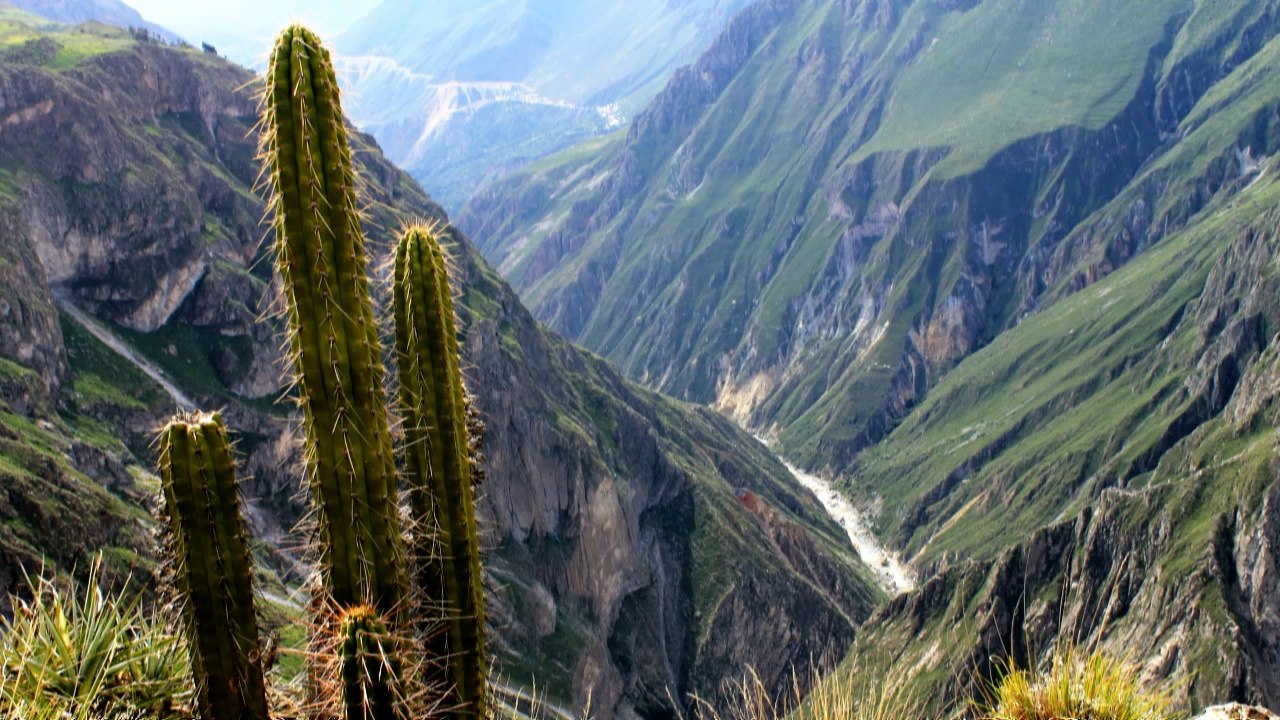 Andiamo Amérique du sud EP26 " Le canyon de Colca et Cusco "