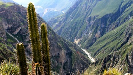 Andiamo Amérique du sud EP26 " Le canyon de Colca et Cusco "