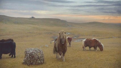 LATINO - Te Regalo DJ Cutson "Poney Parodie 2014"