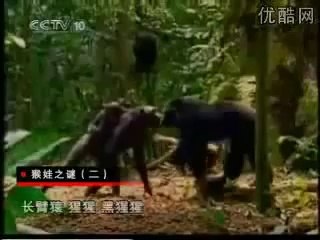 الرجل القرد - رجل حير العلاماء - سبحان الله