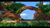 Donkey Kong Country: Tropical Freeze(ドンキーコング トロピカルフリーズ)