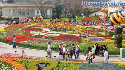 [Dreamtravel.vn] Du lịch Hàn Quốc ngắm hoa anh đào, tour du xuân Hàn Quốc