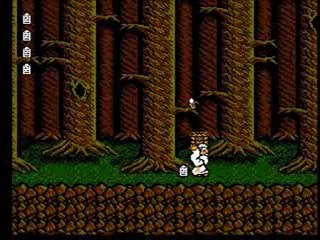 Bible Adventures NES