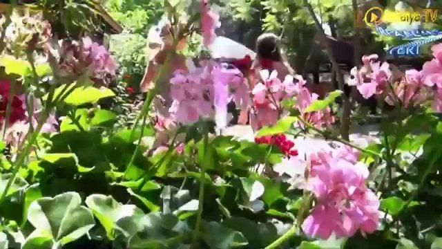 İrfanın Yeri Kahvaltı Gözleme Evi - Antalya Çakırlar Kahvaltı Yerleri