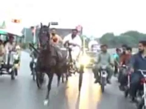 HORSE RACE TRY(BEJLI GORI)ZAHID RAFIQ TANGA MAKER RAWALPINDI